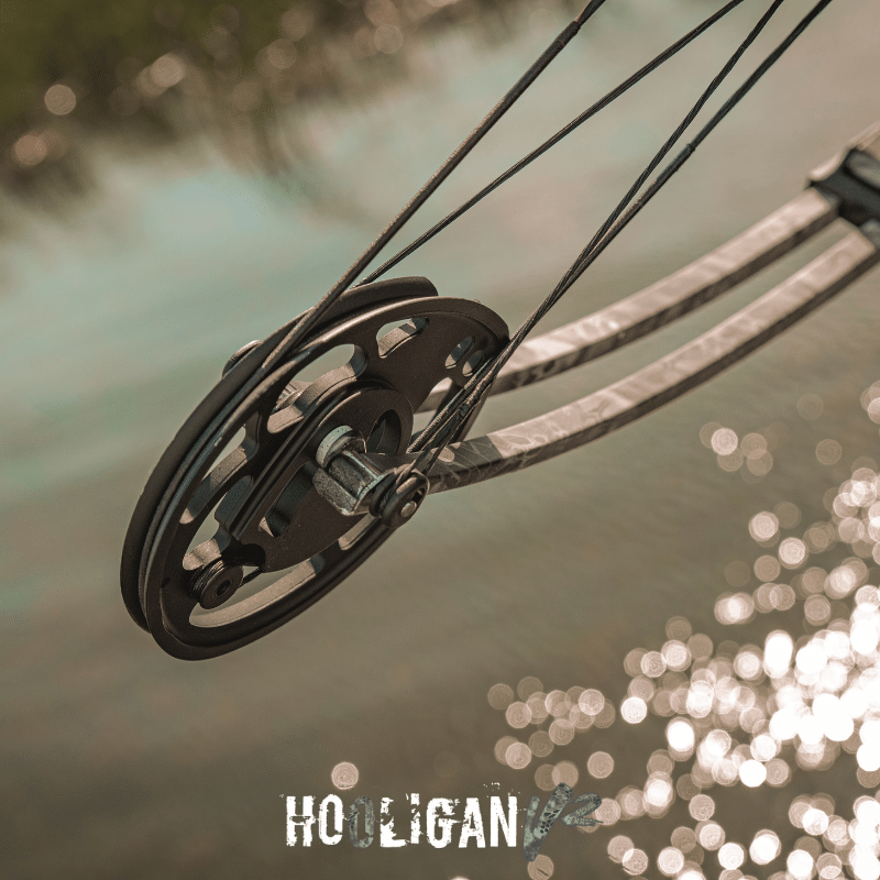 AMS Bowfishing Hooligan V2 Bow Kit, Right-Handed