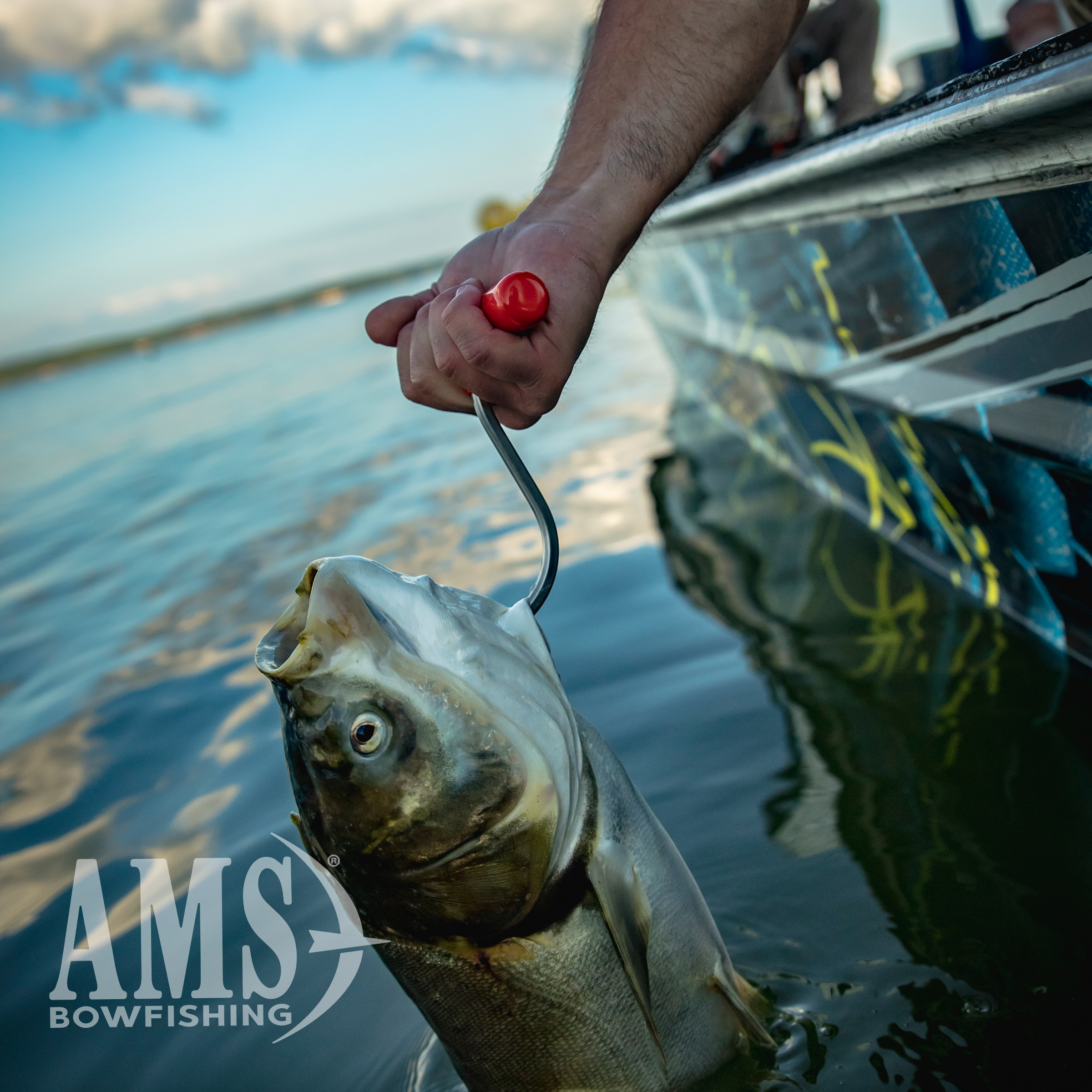 Gaffs and Hooks - Image 9