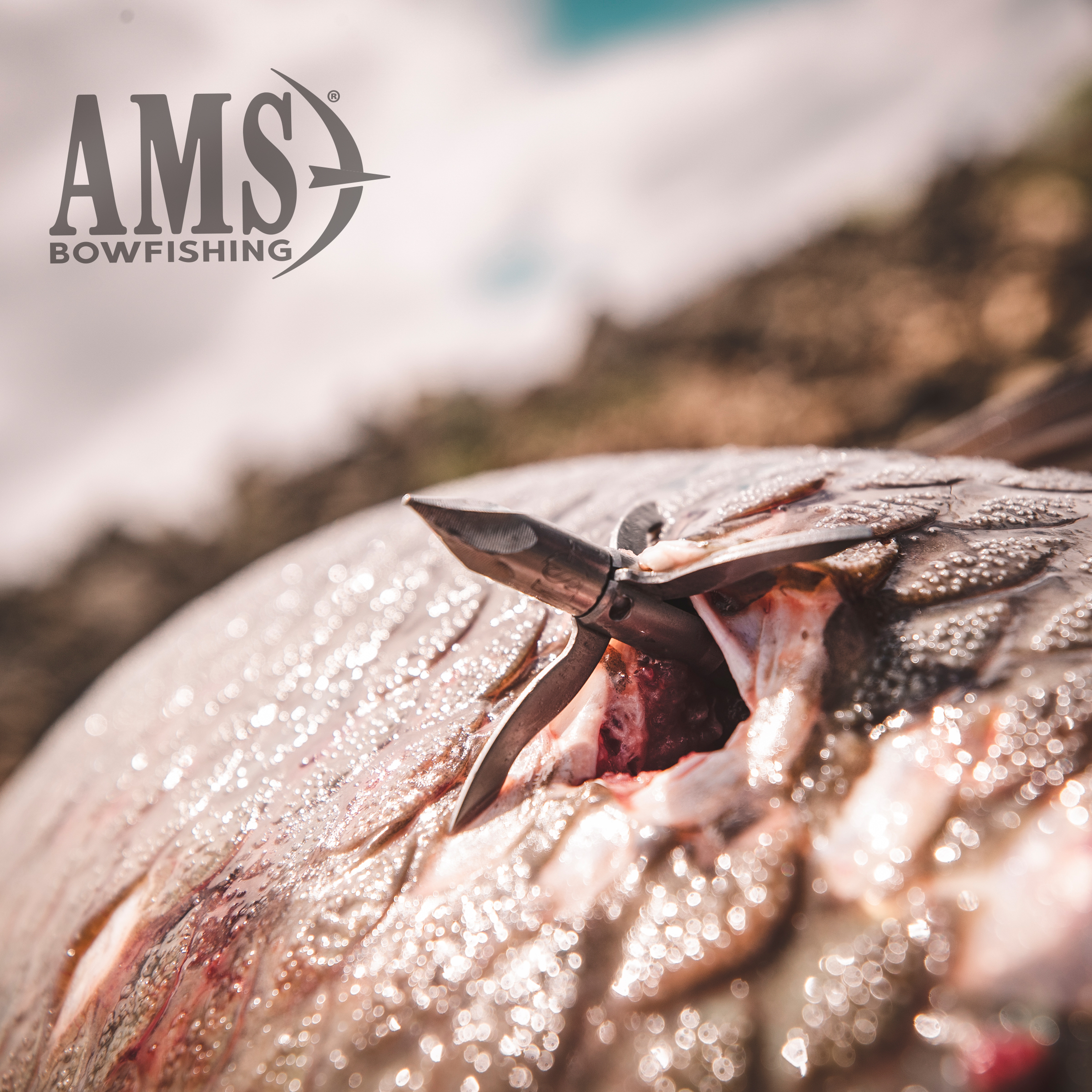 AnKor FX Premium Lava Crux Carbon-Core (Tip-Turn Release) - Image 4