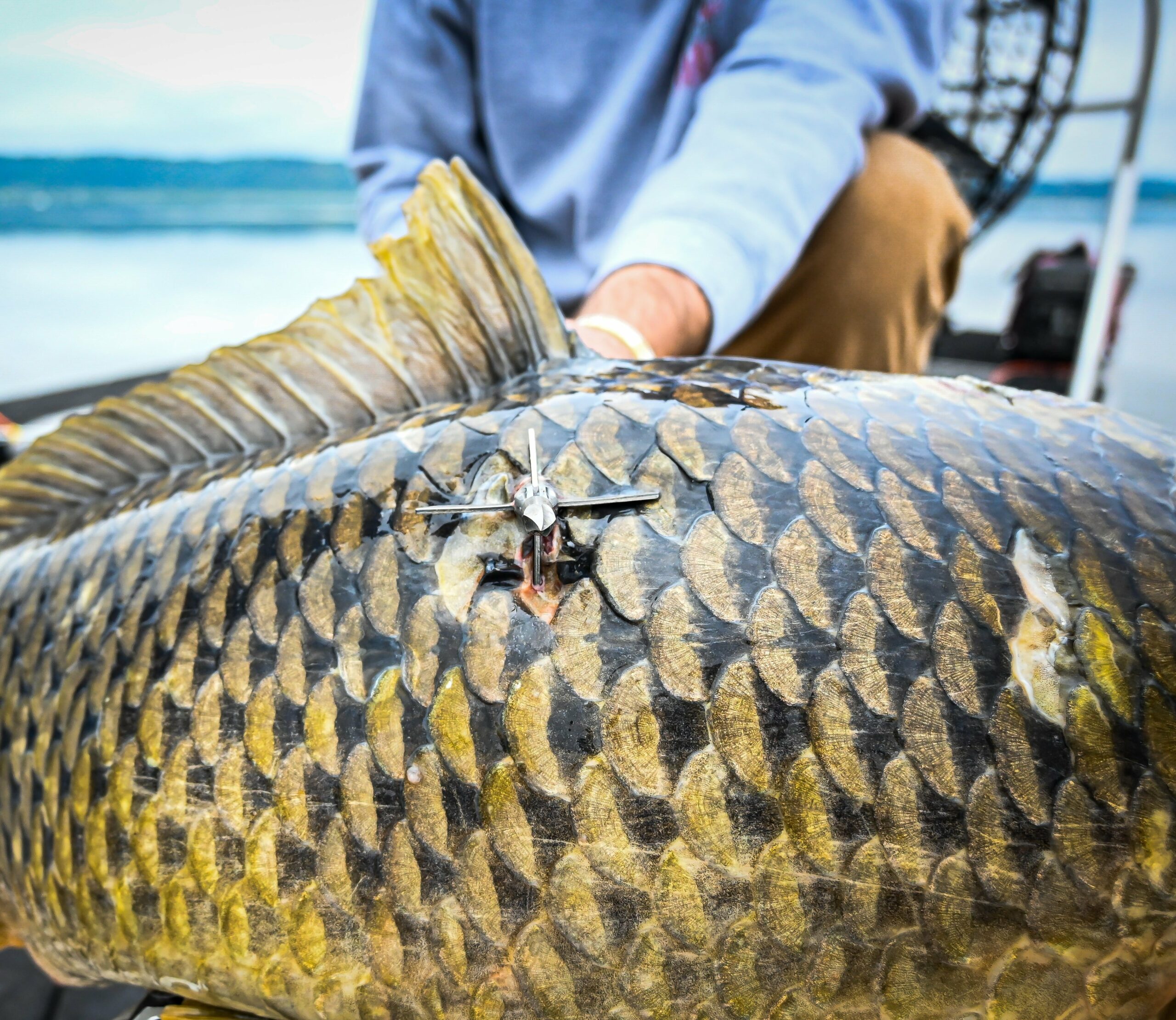 Quad-Lock™ Arrow White (Shaft-Turn Release) - Image 2